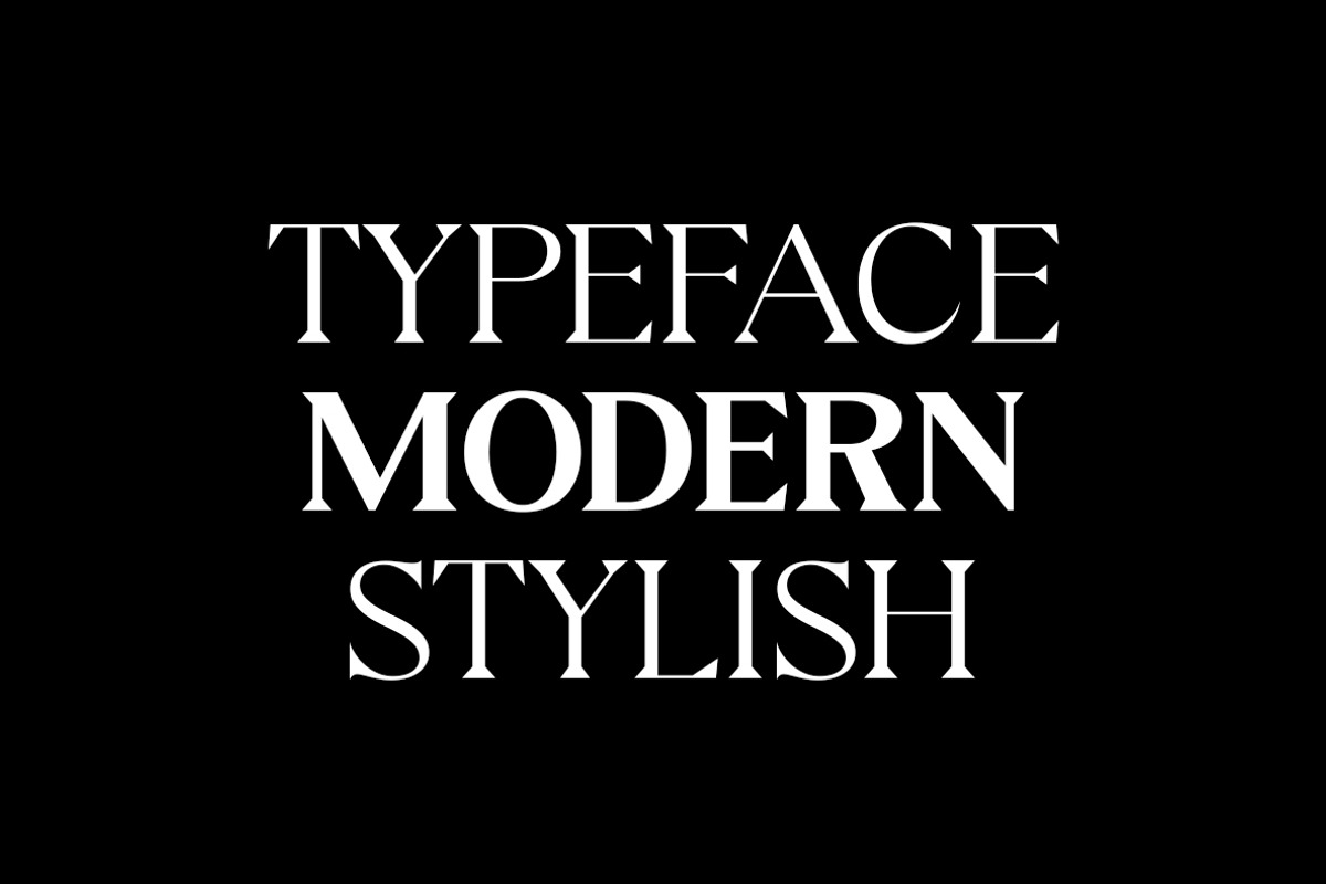 Galens | Serif font family, a Font by InkwellTypeCo (Photo 9 of 11)
