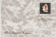 Shell Imprint textures, a Background Graphic by DigARTbyHavroshka (Thumbnail 6 of 12)