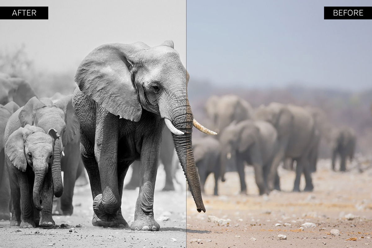 Black & White Lightroom Presets preview 4