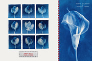 Red Embroidery&Cyanotype Collection, an Object Graphic by Hello Muse (Thumbnail 3 of 13)