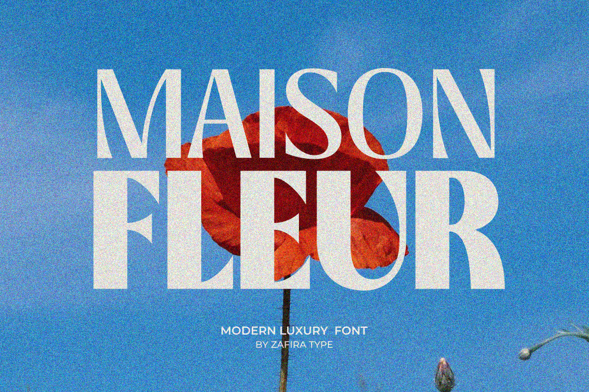 Aveline Chapter, a Sans Serif Font by Zafiratype (Photo 13 of 15)