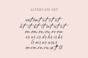 Hilton Fontain | Handwritten Font, a Handwritten Font by Burhan Afif (Thumbnail 9 of 10)
