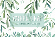 Green Leaf Watercolor clipart, an Illustration by everysunsun (Thumbnail 1 of 4)