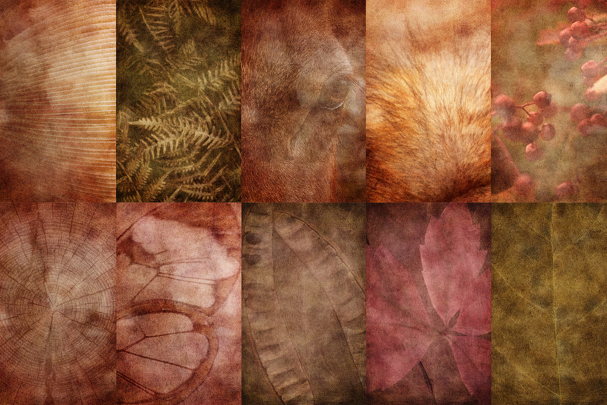 Faded Nature - Textured Backgrounds, a Background Graphic by Lidberia (Photo 5 of 11)