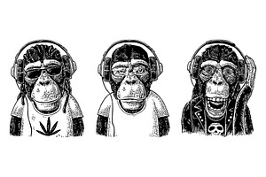 Monkeys In Headphones. Hipster With