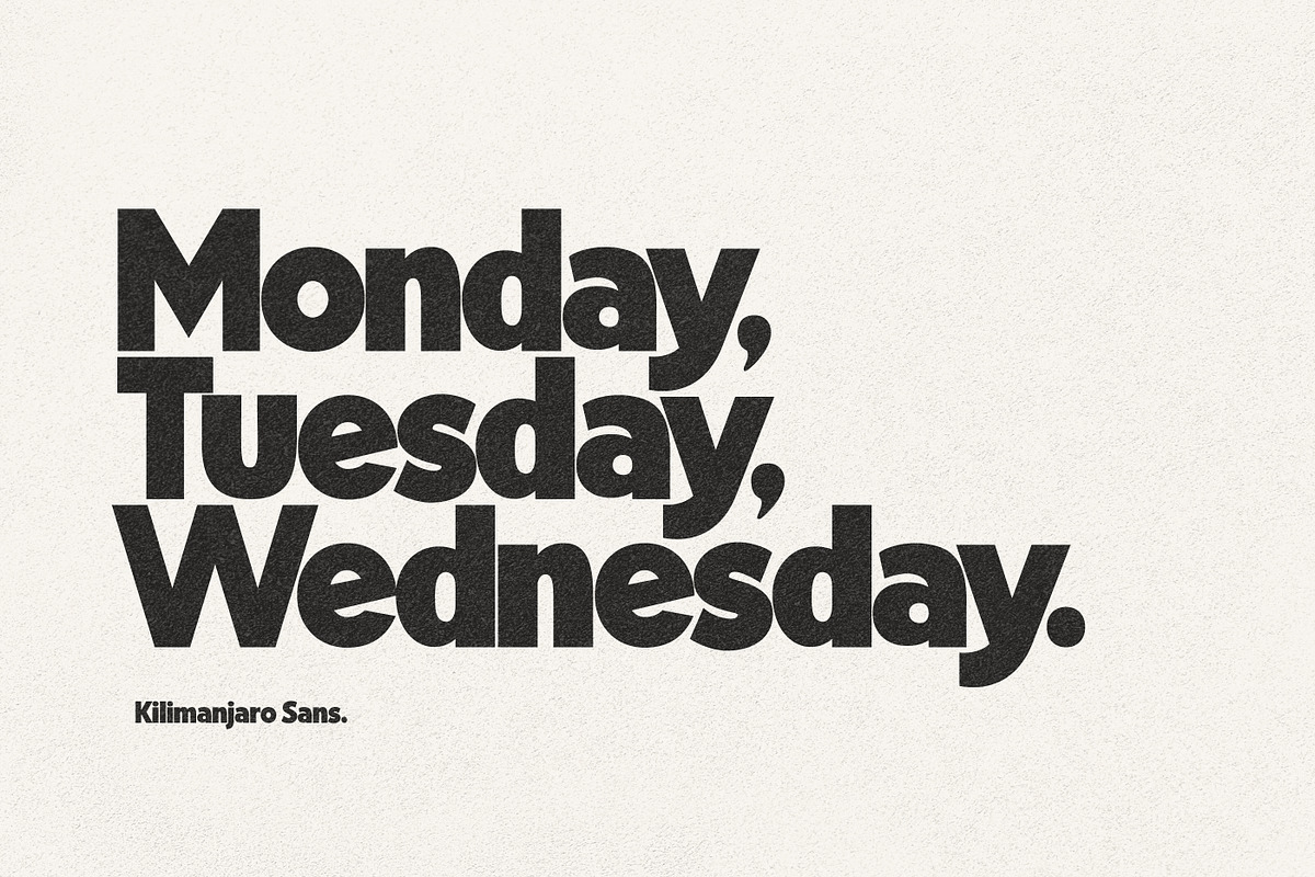 Kilimanjaro Sans (36 fonts), a Font by Nicky Laatz (Photo 30 of 75)