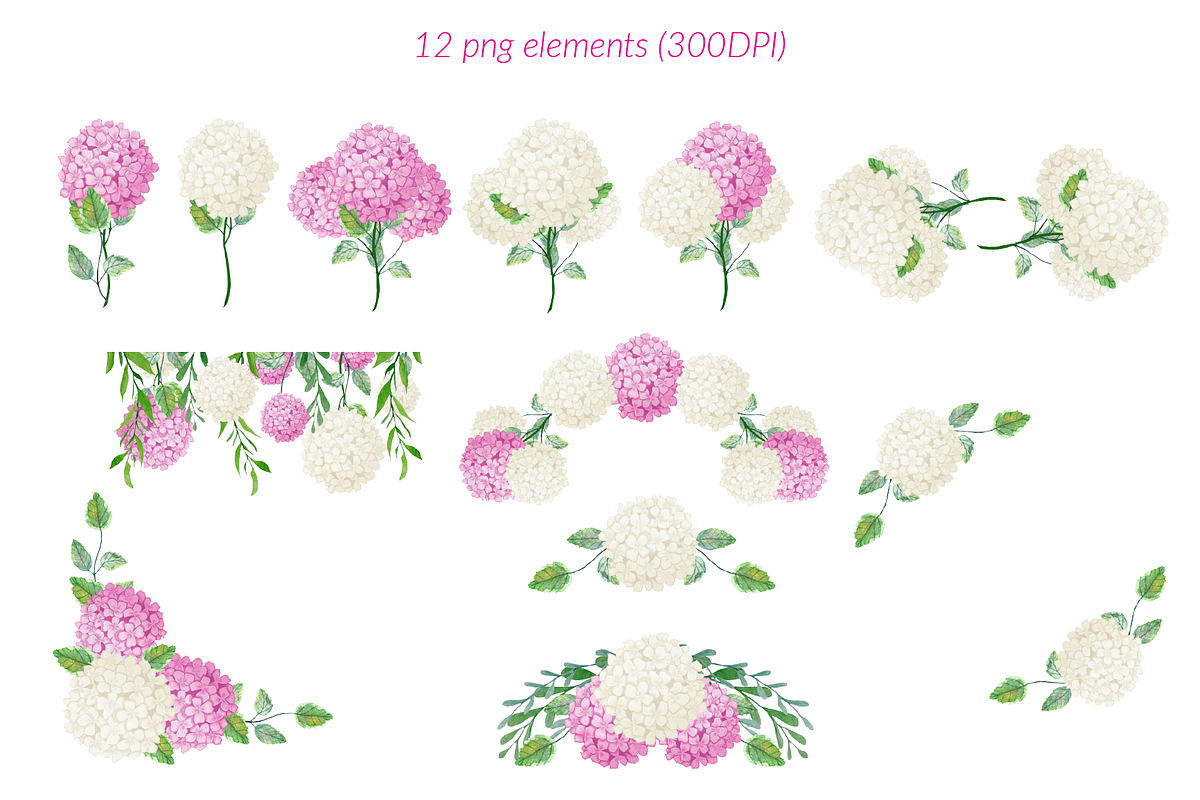 Pink and white hydrangea clipart, an Illustration by Annakristal (Photo 2 of 4)