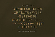 Rochestra Serif Typeface, a Serif Font by Letterhend Studio (Thumbnail 5 of 9)