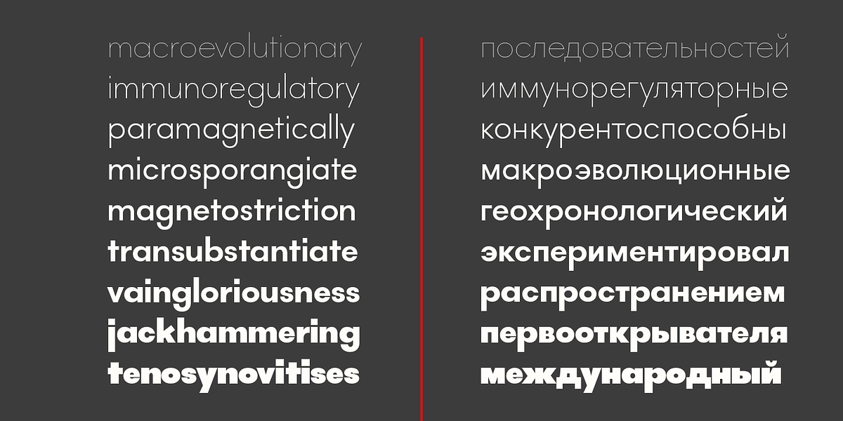 Lightbox 21, a Sans Serif Font by Protimient (Photo 3 of 10)