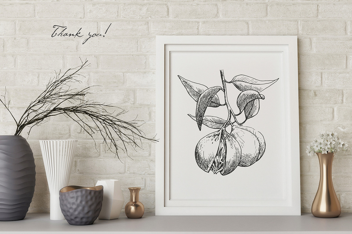 Hand Drawn Nuts set Vector, a Food Illustration by ON_lineart_store (Photo 11 of 11)
