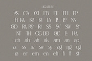 Latqira - Modern Elegant Luxury, a Serif Font by Qweera Studio (Thumbnail 11 of 12)