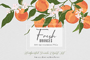 Fresh Oranges Clip art Set, a Graphic by SmallHouseBigPony (Thumbnail 1 of 9)