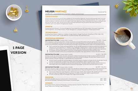 ATS Friendly Resume Google Docs Gold, a Resume Template by BestResumes.Co