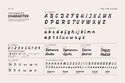 Brindle — Bold Script Display Font, a Handwritten Font by Hasbi Creative (Thumbnail 11 of 12)