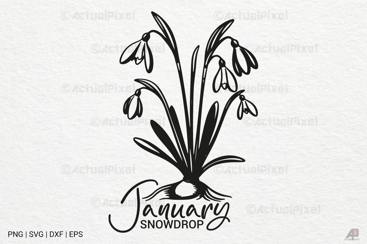 Birth Month Flowers SVG PNG Bundle, an Illustration by Actual Pixel (Photo 19 of 24)