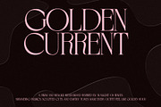 BERBERIS - Display Unique Serif, a Serif Font by Misha Sova (Thumbnail 9 of 14)