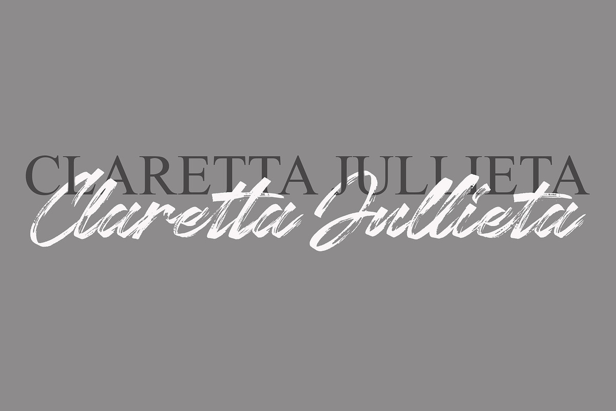 Chaletliness | Modern Script Brush, a Script Font by Madhaline Studio (Photo 8 of 15)