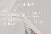 Pretty Sweet - Modern serif font, a Serif Font by BilberryCreates (Thumbnail 15 of 16)