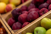 Vitrine with different types of apples exhibited at supermarket, a Photo by Prostock-Studio (Thumbnail 2 of 2)
