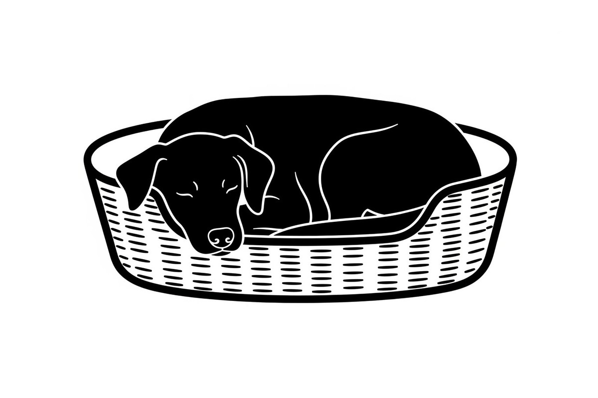 50 Woven Basket Vector Bundle, an Illustration by Designs_River (Photo 27 of 51)