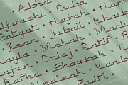 Saihat Arabic Typeface, a Script Font by alit design (Thumbnail 2 of 15)