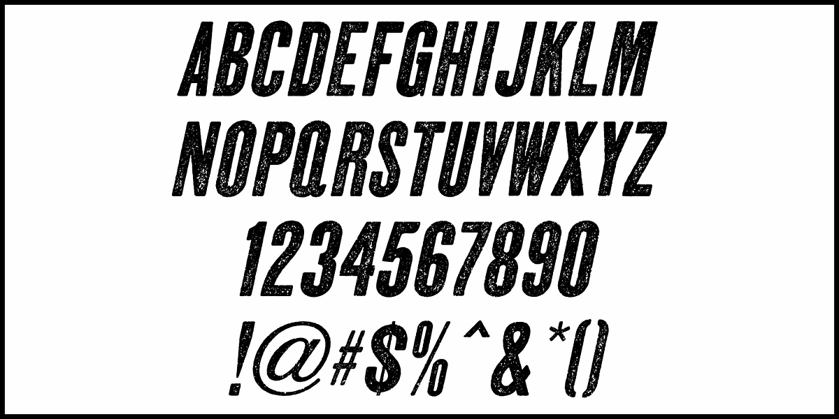 Regional News JNL, a Sans Serif Font by Jeff Levine Fonts (Photo 5 of 5)