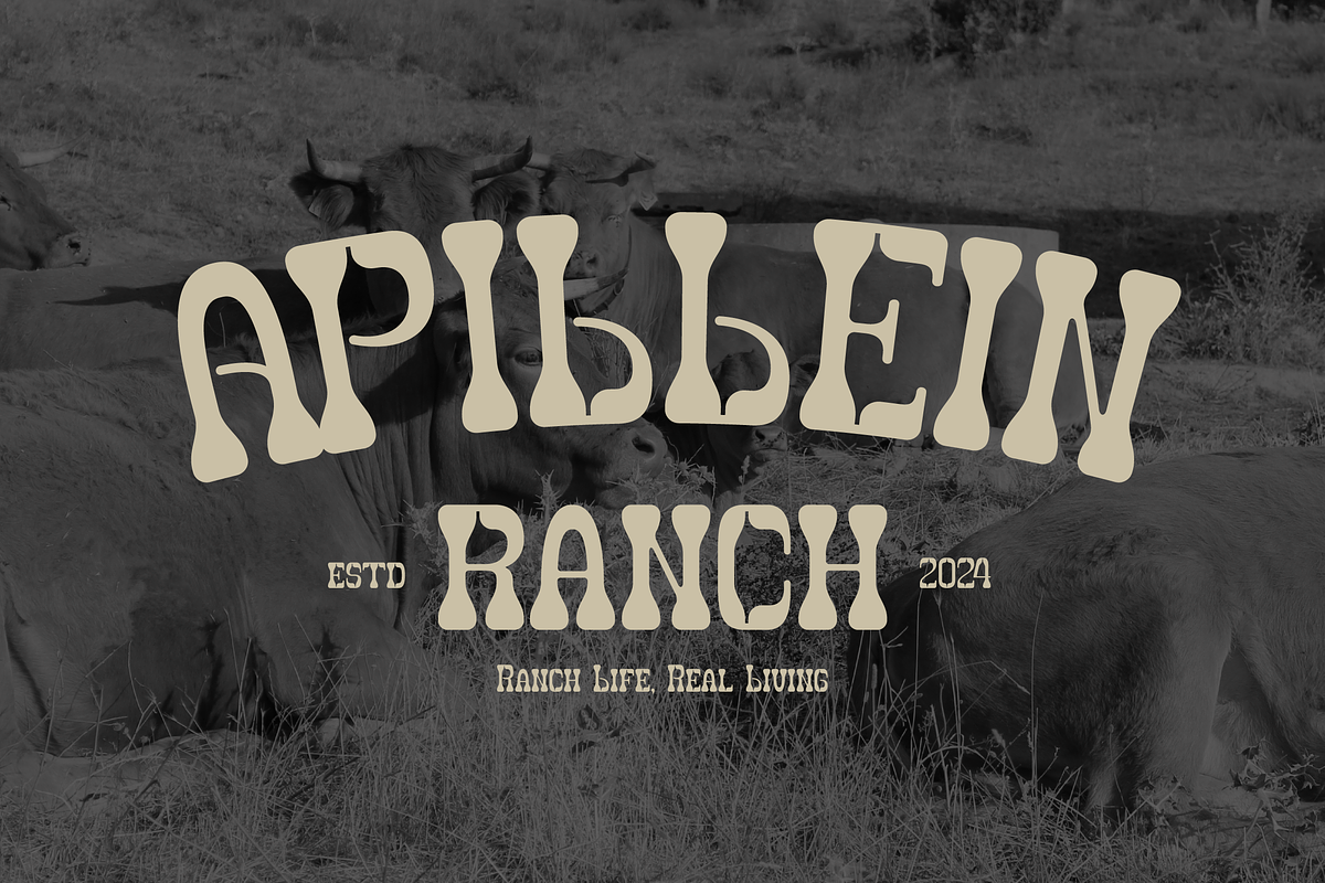 Olbars | Western Font, a Slab Serif Font by gracetype_studio (Photo 6 of 15)