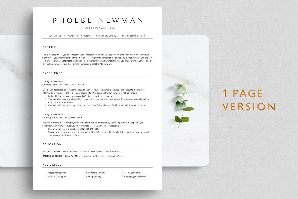 ATS Resume Template preview 2
