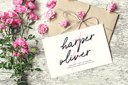 Typographer's Dream Box + 200 Logos, a Script Font by Mats-Peter Forss (Thumbnail 57 of 130)