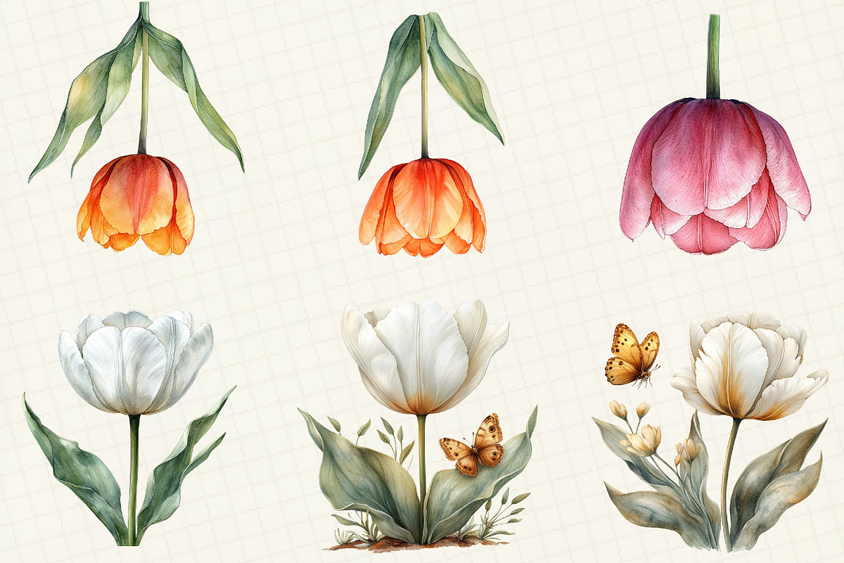 Tulip Flower Bloom Clipart, an Illustration by OK Design (Photo 3 of 5)