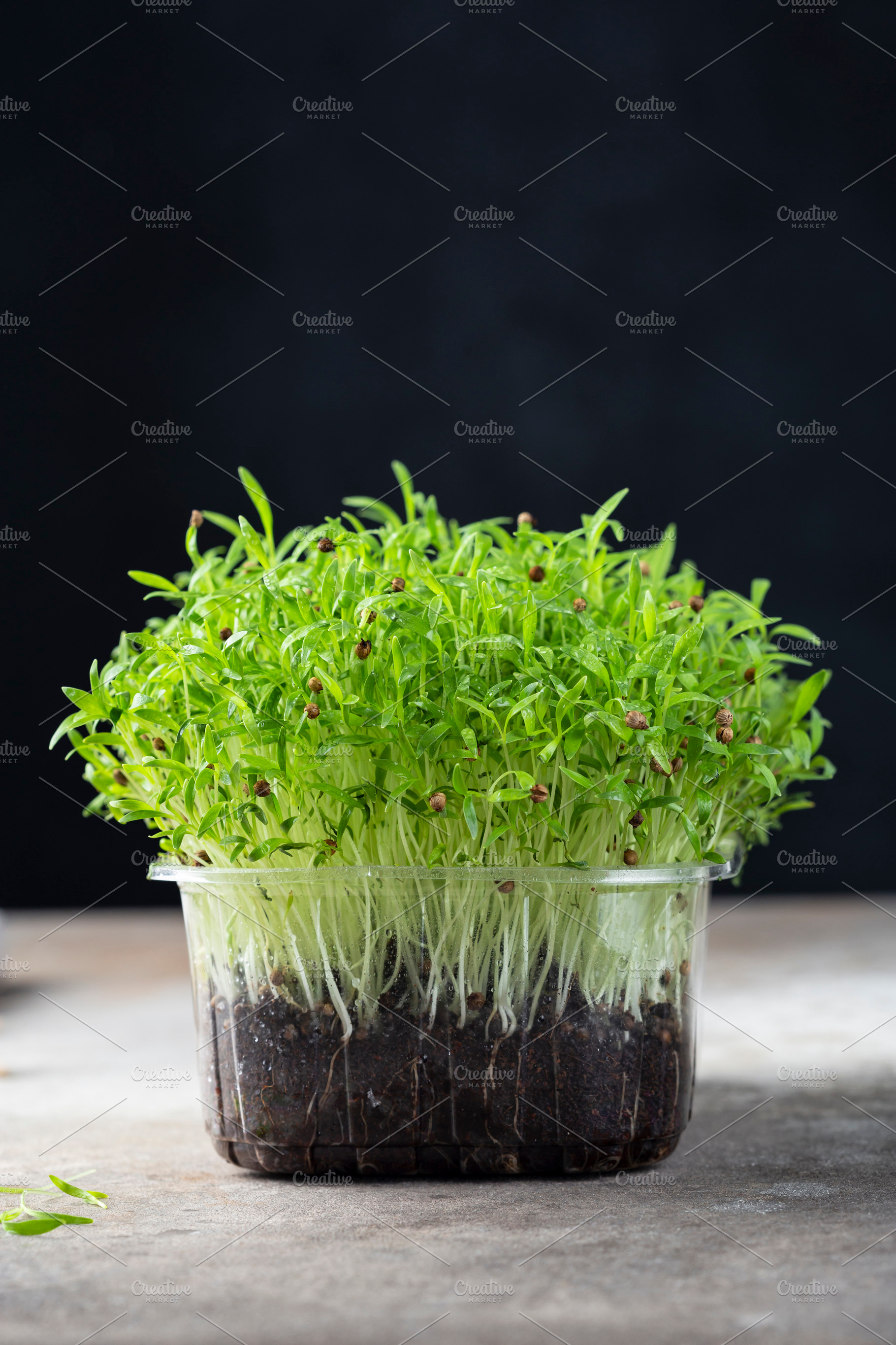 fresh different organic microgreens, a Food & Drink Photo by Marina_Pronina