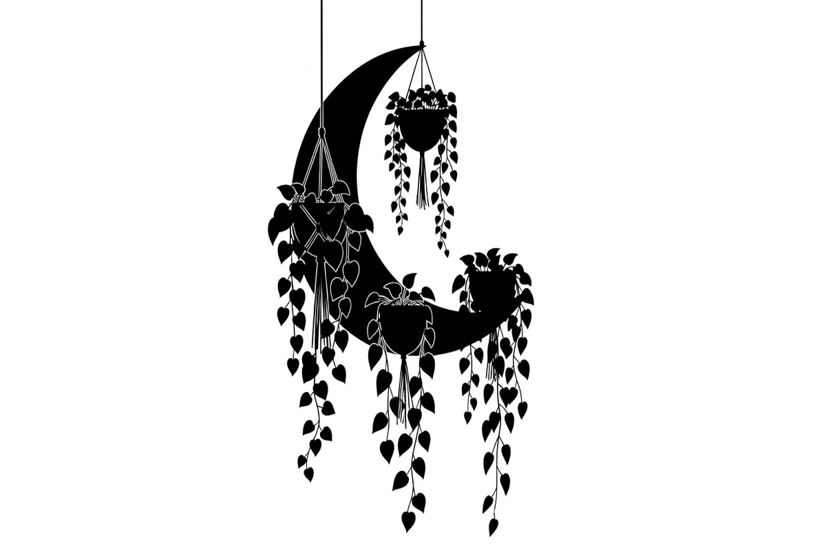 Hanging Moon with Plants Bundle, an Illustration by Designs_River (Photo 4 of 31)