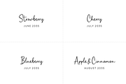 Charisty - Script Font, a Script Font by Creavibes Design (Thumbnail 5 of 11)
