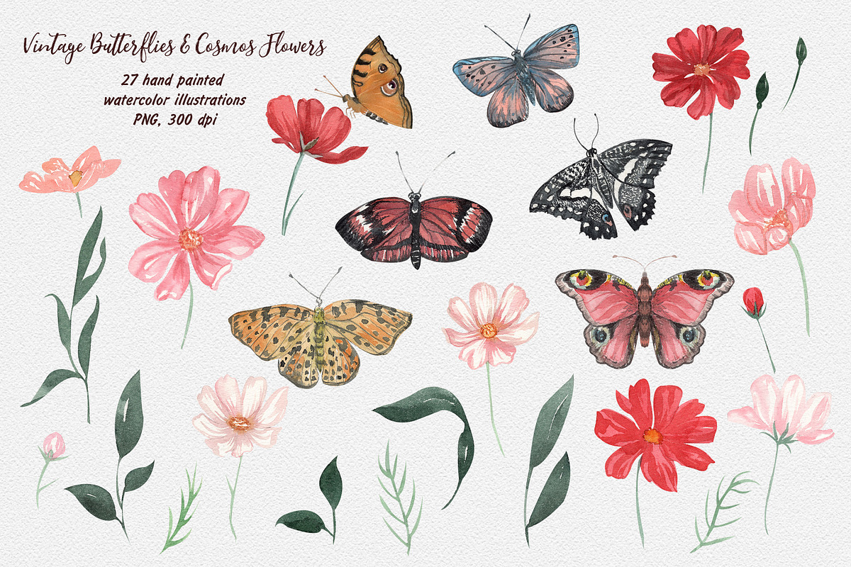 Vintage Butterflies & Cosmos Flowers, an Illustration by Catch the Dream Art (Photo 11 of 12)