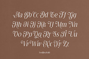 Souljiwa - Modern Branding Font, a Sans Serif Font by creativemedialab (Thumbnail 9 of 14)