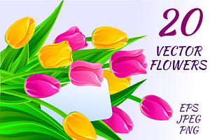 20 Vector flowers