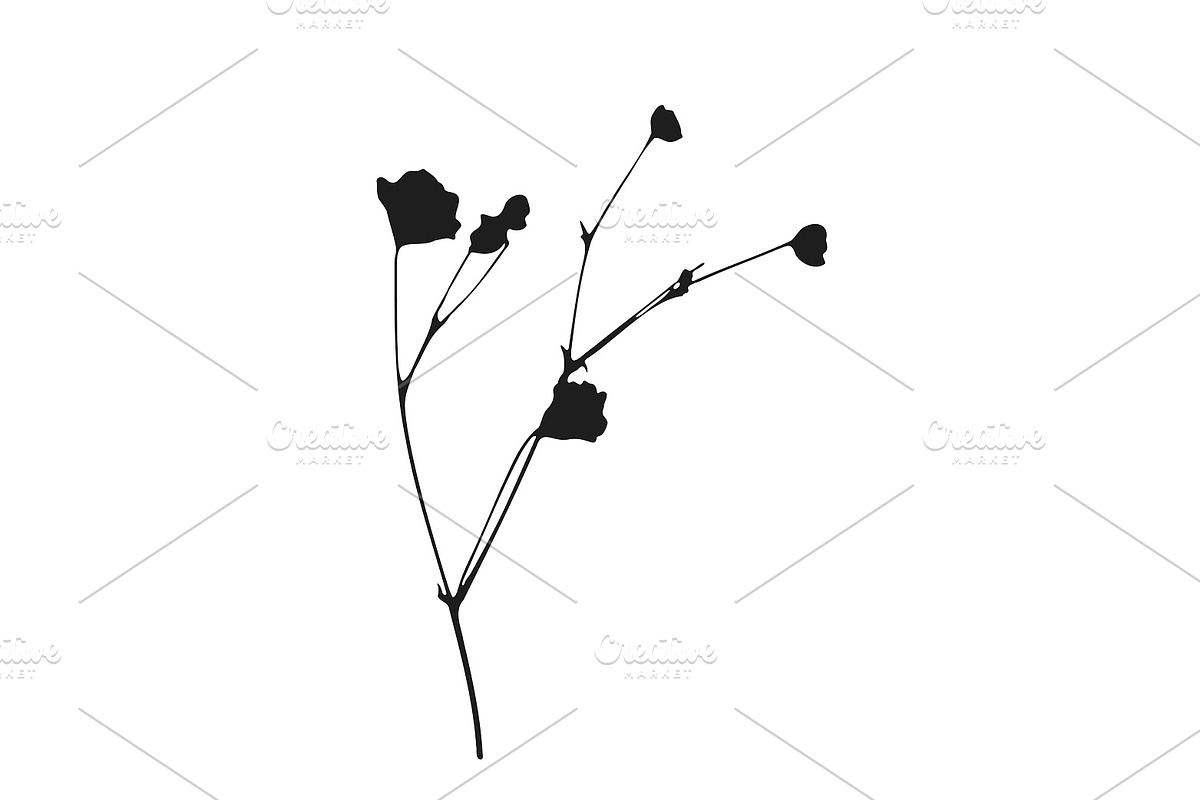 Botanical bundle - svg, png, a Decorative Illustration by Watercolor_Vector Graphic (Photo 7 of 26)
