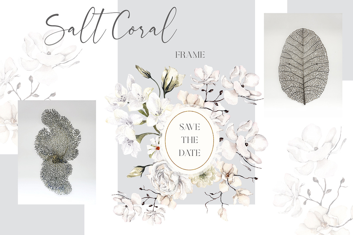 Salt Coral. Sea shell and flowers., an Object Illustration by ma_i_vi (Photo 8 of 12)