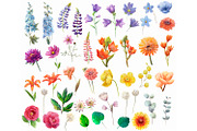 Watercolor summer wild flowers., an Illustration by yulia.sukhanova (Thumbnail 2 of 3)