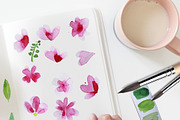 Cherry Blossom Watercolor Clipart, a Decorative Illustration by Download Graphic Art (Thumbnail 2 of 6)