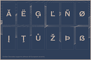 Golden Decades, a Sans Serif Font by Dharma Type (Thumbnail 4 of 12)