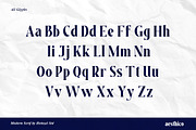 Aesthico Bold Serif Font, a Serif Font by Heinzel Std (Thumbnail 9 of 15)