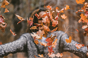 4 Autumn Lightroom Presets, a Preset Add-On by AnagramDesign (Thumbnail 6 of 8)