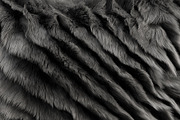 Collection of 38 fur pillows, an Object 3D Model by 3dmitruk (Thumbnail 108 of 112)