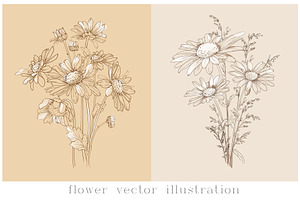 Ink Vector Chamomile