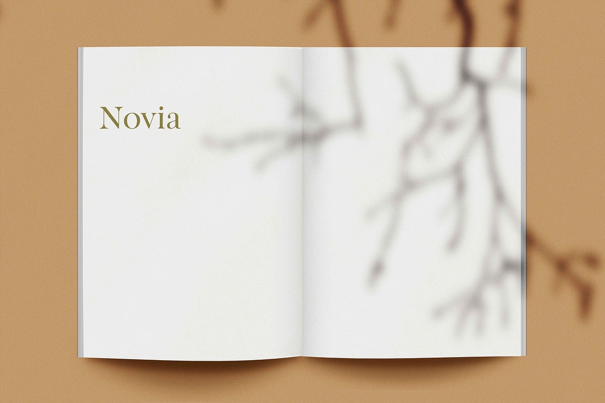 Novia Photo Magazine Mock-Up, a Print Template by Eugene Tantsurin (Photo 10 of 14)