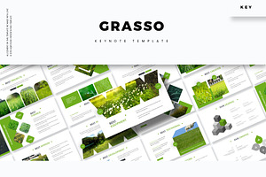 Grasso - Keynote Template