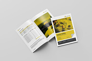 Business Proposal, a Brochure Template by retrographix (Thumbnail 11 of 13)