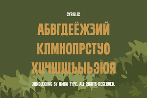 Junglekong Cute Display Font