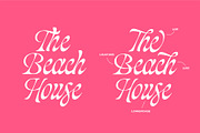 Blackshiny, a Script Font by ManType (Thumbnail 2 of 7)